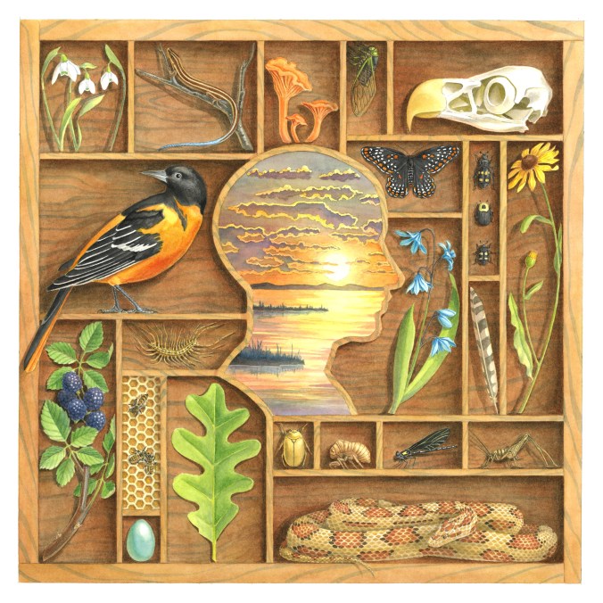 Headwinds Vinyl Bandcamp