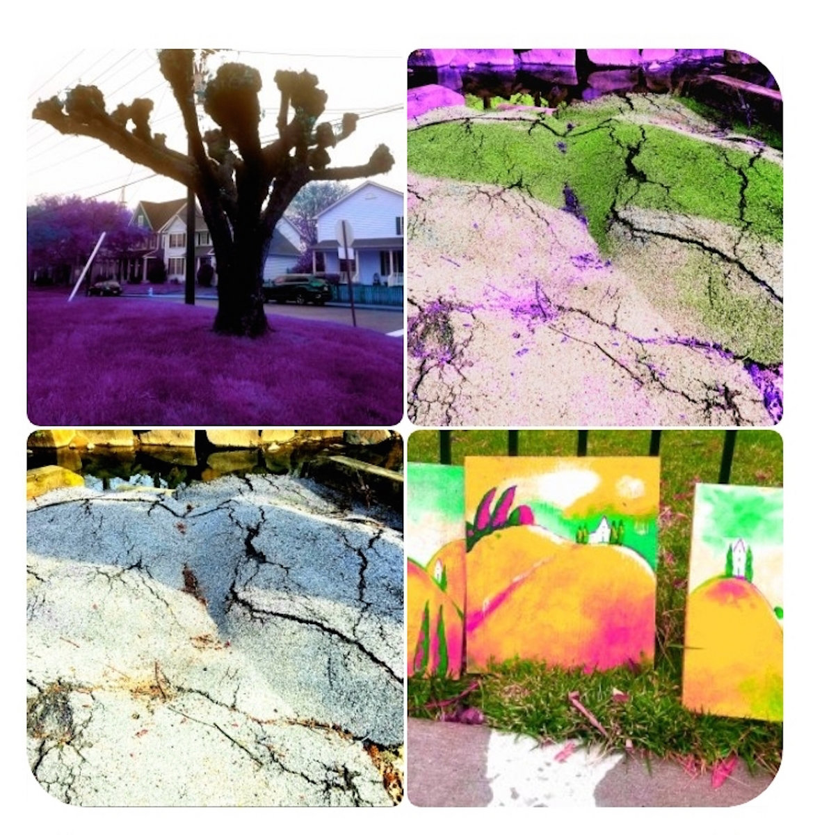 NICE BREEZE a1891538092_10